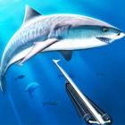 underwater hunting
