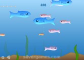 Fishy: Gameplay Catch Fish