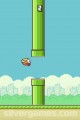 Flappy Bird: Gameplay Bird Flying