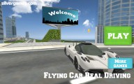 Flying Car Simulator: Menu