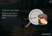 Magnetic Fishing: Treasure Found