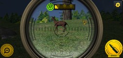Wild Hunting Clash: Gameplay