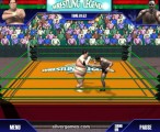 Wrestling Legends: Gameplay